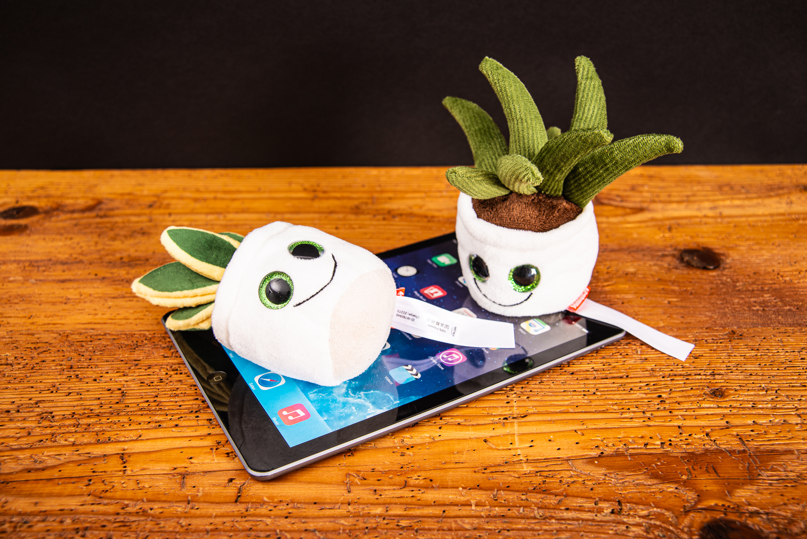 Zwei Schmoozies Evergreenies Displayreiniger auf einem Tablet.