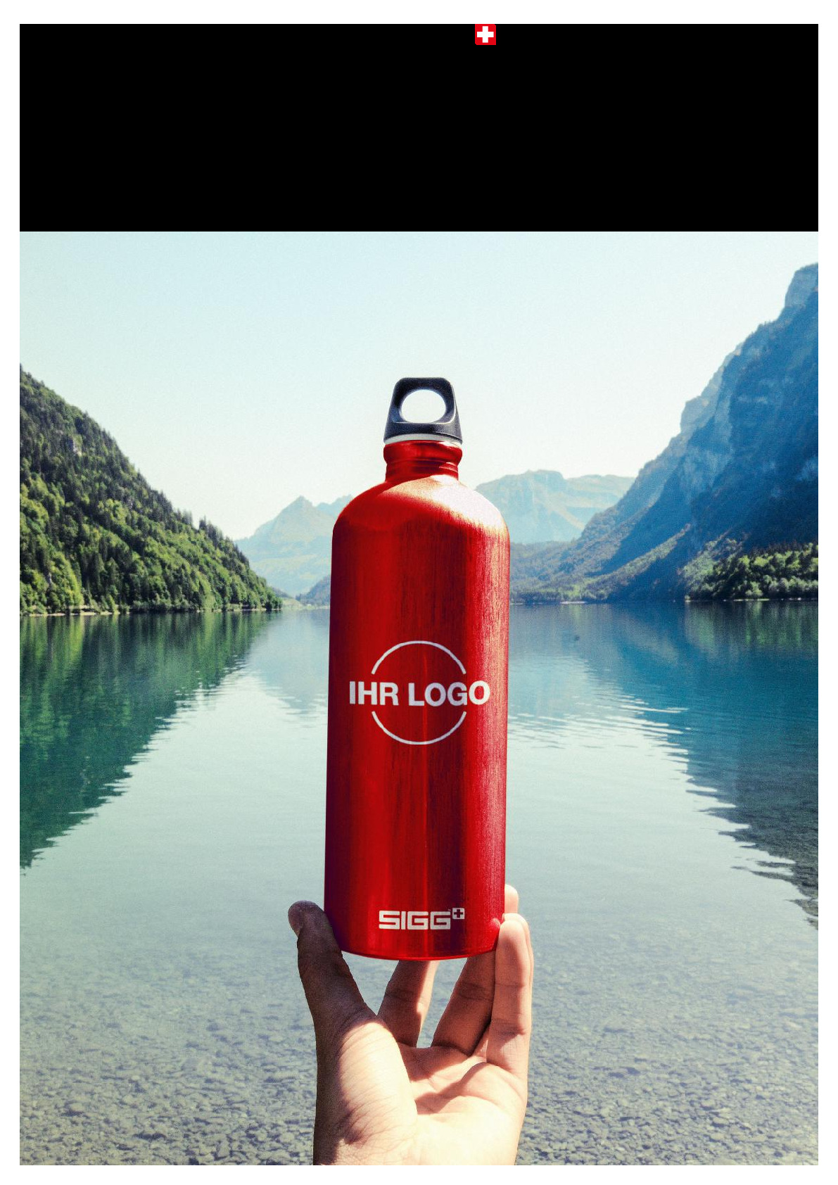 SIGG CO-BRANDING Katalog 2024