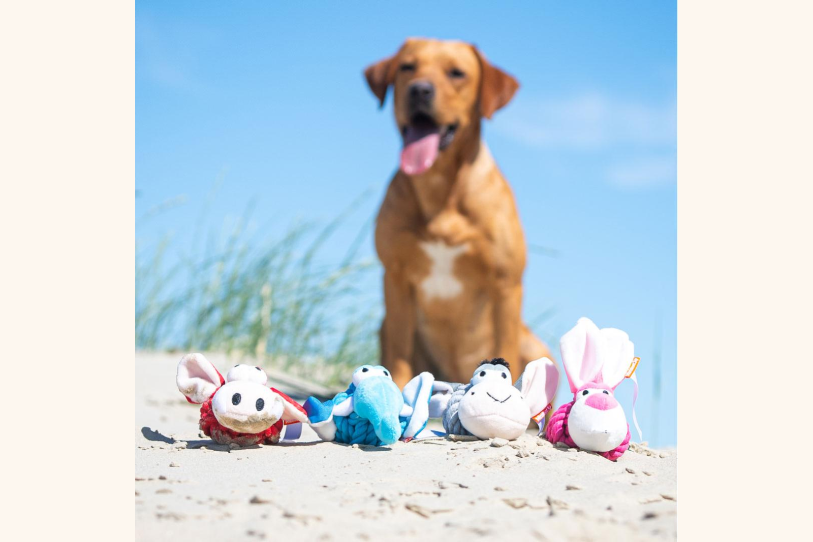 Hundespielzeug Minifeet Knotentiere als Werbeartikel.