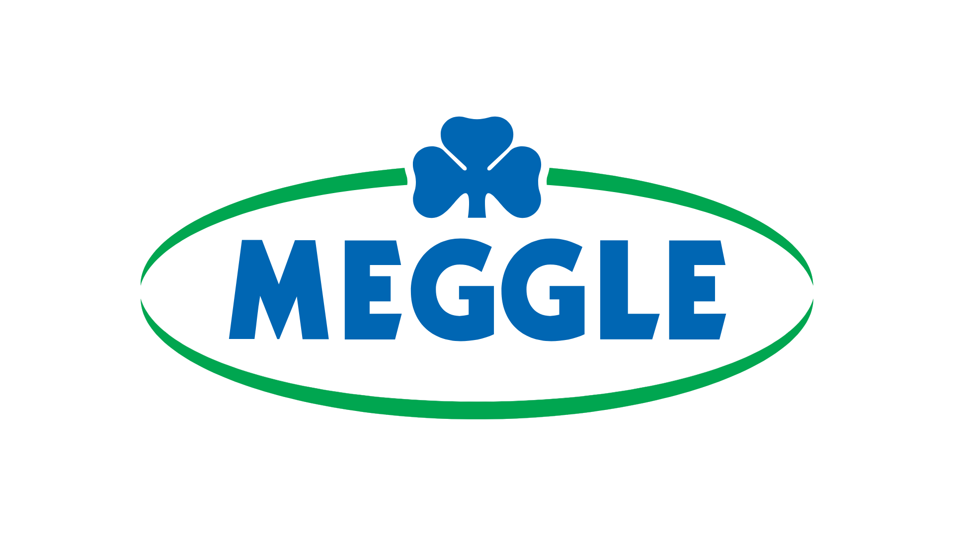 Versicherungskammer Meggle &ndash; Referenz von werbemax