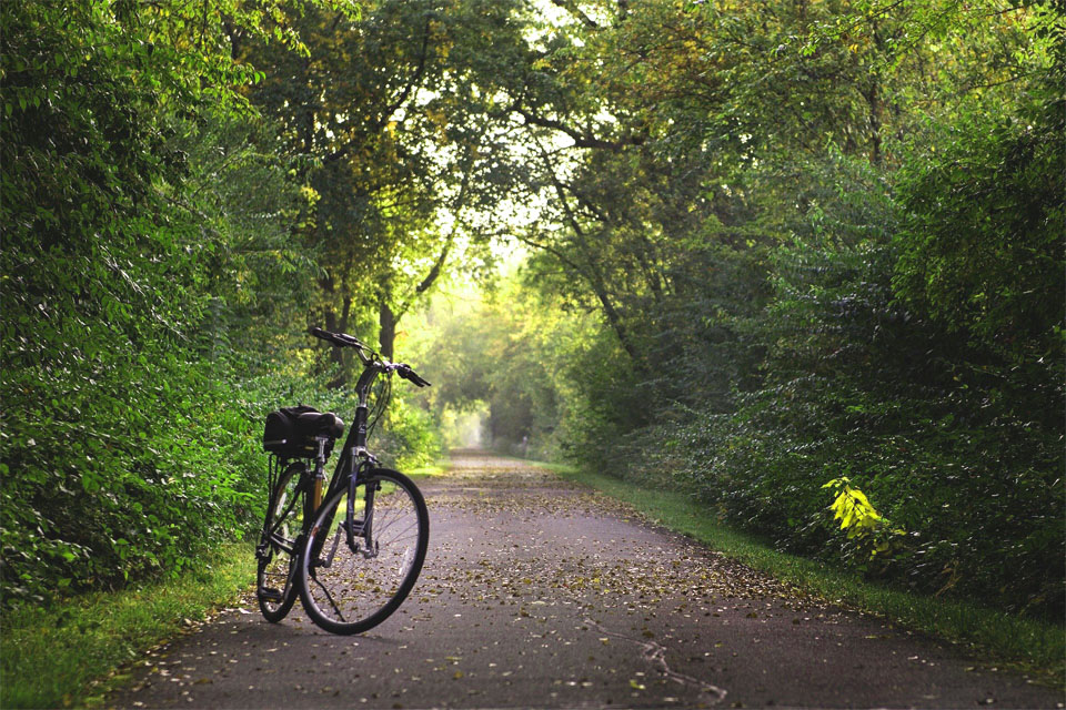Fahrrad im Wald Radfahren Werbeartikel 