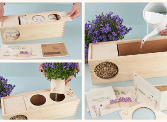 Blooms out of the Box als blumiges Werbegeschenk 