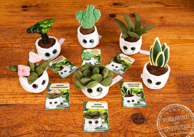 Sechs unterschiedliche Displayreiniger Schmoozies Evergreenies mit Produktkarte des jeweiligen Charakters.