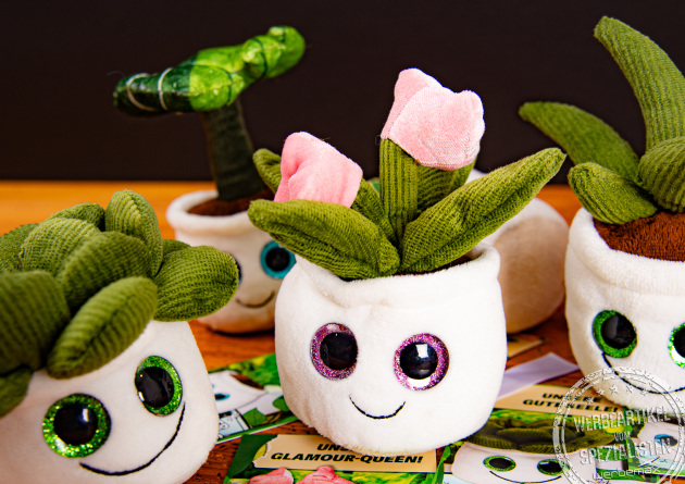 Mehrere Schmoozies Evergreenies Displayreiniger in der Detailansicht.