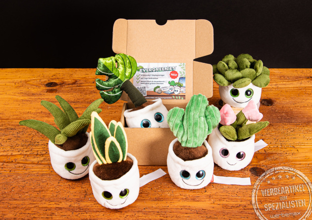 Mehrere immergr&uuml;ne Schmoozies Displayreiniger der Serie Evergreenies mit Versandkarton.