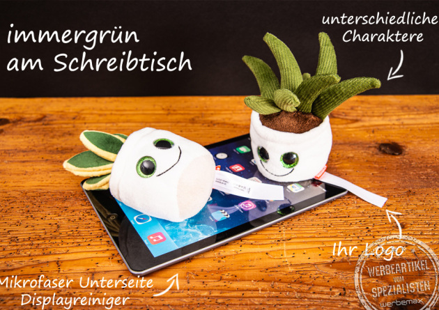 Zwei Schmoozies Evergreenies Werbeartikel auf Tablet mit Produktdetails.