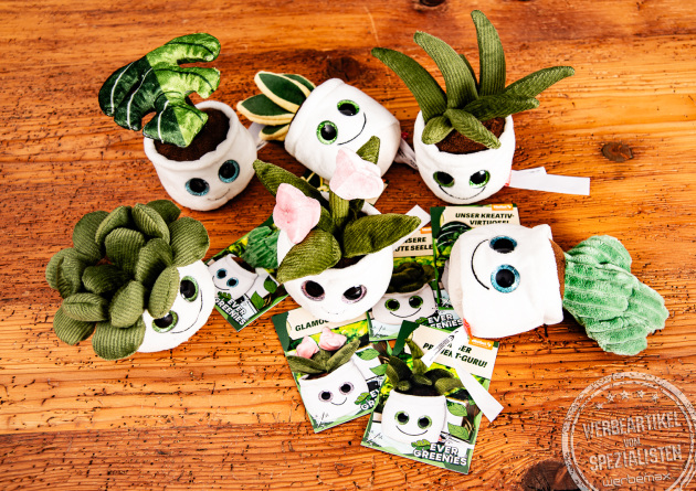 Sechs verschiedene Schmoozies Evergreenies Displayreiniger in der Draufsicht mit Produktkarten.