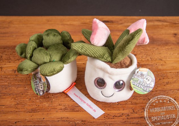 Schmoozies Evergreenies mit Logodruck Referenz Farben Hoegner.