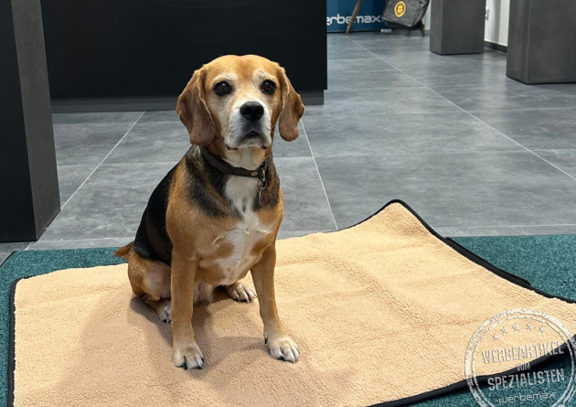 Hundedecke im Einsatz, bedruckt mit Firmenlogo – Werbemax Werbeartikel für Kunden und Mitarbeiter mit Hund.