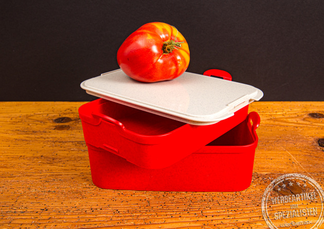 Koziol Lunchbox Set Stakk bedrucken lassen &ndash; praktischer Werbeartikel f&uuml;r unterwegs.