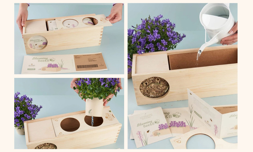 Blooms out of the Box als blumiges Werbegeschenk 