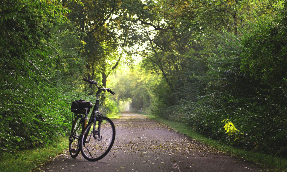 Fahrrad im Wald Radfahren Werbeartikel 