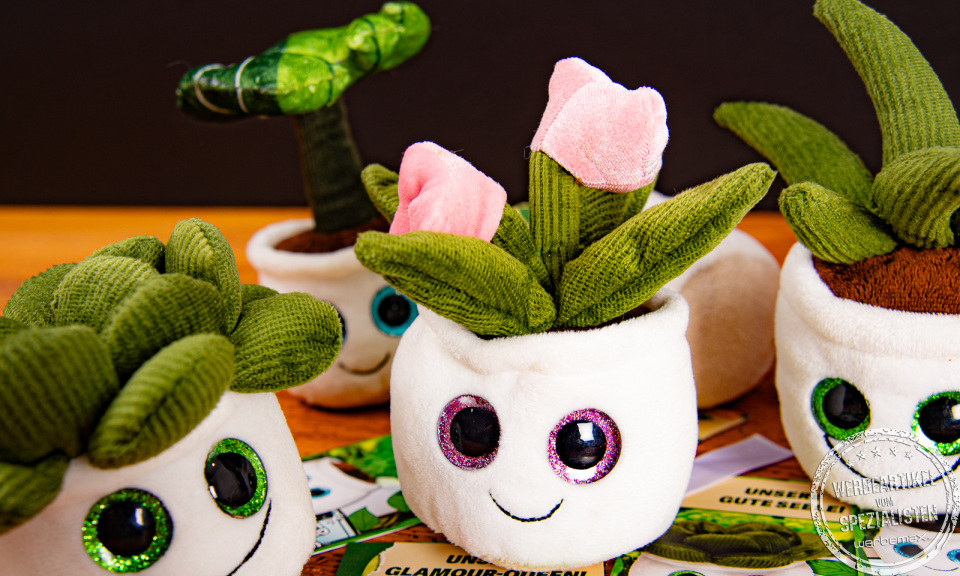 Mehrere Schmoozies Evergreenies Displayreiniger in der Detailansicht.