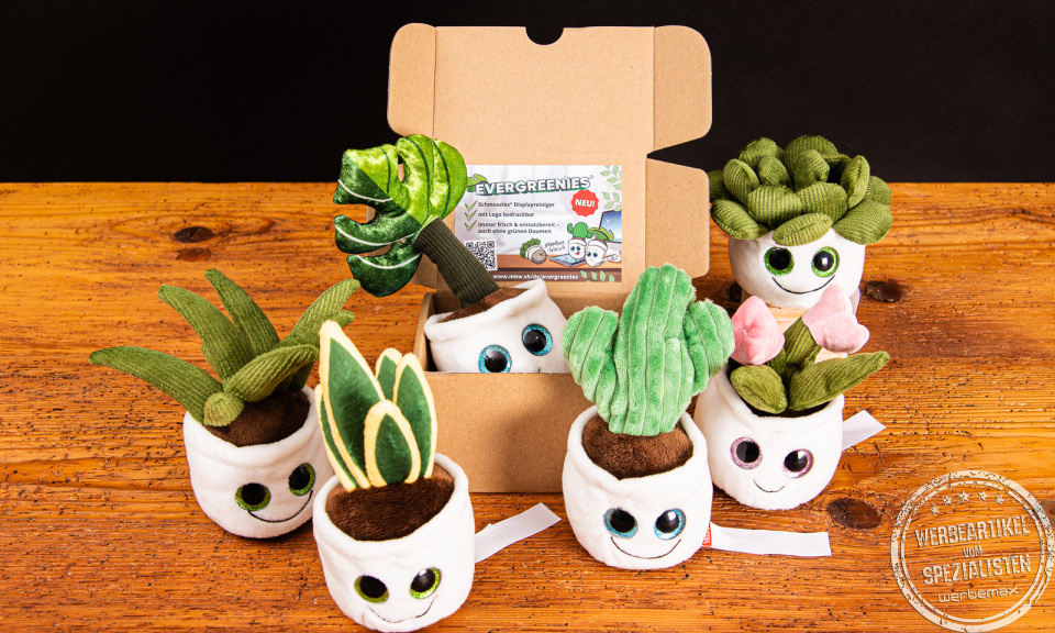 Mehrere immergrüne Schmoozies Displayreiniger der Serie Evergreenies mit Versandkarton.