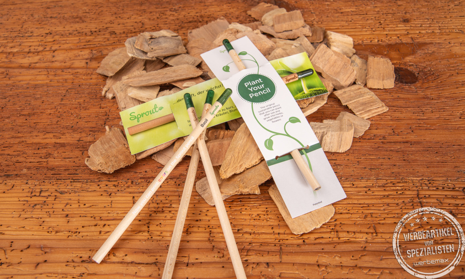 Nachhaltige Samenbleistifte von SPROUT mit individueller Werbeanbringung.
