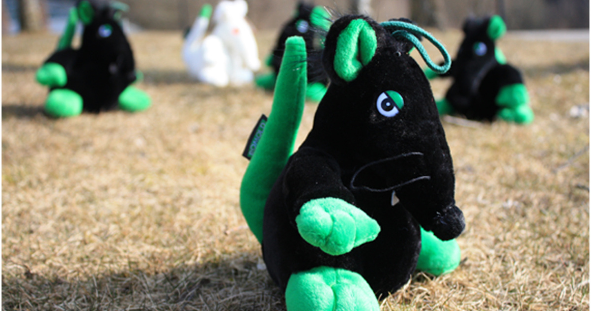 pl&uuml;schtiere individuell