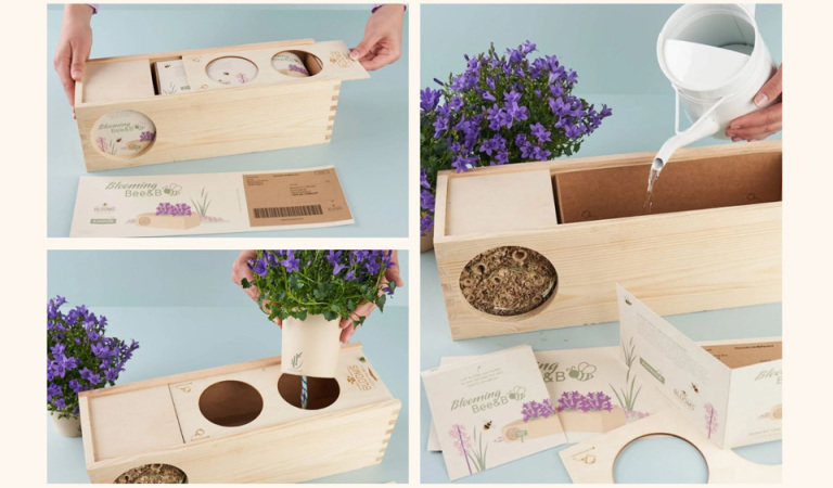 Blooms out of the Box als blumiges Werbegeschenk 