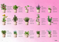 Sprout Sorten&uuml;bersicht