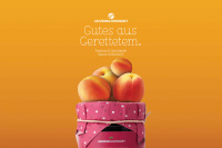 Alle Unverschwendet-Produkte auf einen Blick!