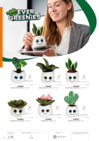 displayreiniger-schmoozies-evergreenies-mit-logo.pdf